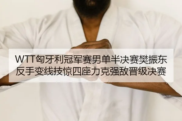 WTT匈牙利冠军赛男单半决赛樊振东反手变线技惊四座力克强敌晋级决赛