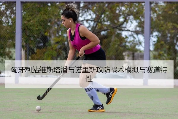 匈牙利站维斯塔潘与诺里斯攻防战术模拟与赛道特性